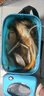 化氏新品飛鯊三代大物竿龍紋鯉巨物手竿鱘魚(yú)竿釣魚(yú)竿7.2m 7.5m 曬單實(shí)拍圖