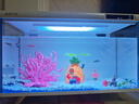 阿拖（ATUO）海綿寶寶珊瑚造景躲避屋卡通公仔菠蘿屋魚(yú)缸小擺件水族箱裝飾全套 曬單實(shí)拍圖