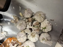 京鮮生 山東 大蒜 蒜頭 1.5斤 新鮮蔬菜 曬單實(shí)拍圖