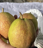 【順豐】新疆庫爾勒香梨 脆甜香妃梨子送禮 新鮮水果禮盒 5斤【全母梨】 一級【單果100-120g】 曬單實(shí)拍圖