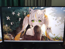 華碩（ASUS）ROG XG27ACMEG 27英寸顯示器2K電競顯示器2K 240Hz超頻260Hz HDR400 G-Sync 0.3ms響應 HDMI 2.1 曬單實(shí)拍圖