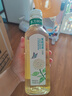 農(nóng)夫山泉 東方樹葉茉莉花茶500ml*15瓶無糖茶飲料0糖0脂0卡整箱裝夏天解渴 曬單實拍圖