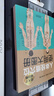 人體經(jīng)絡(luò)穴位使用大圖冊 曬單實拍圖