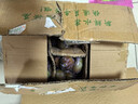 庾豐當(dāng)季新鮮現(xiàn)摘西梅 新鮮水果整箱 孕婦藍(lán)蜜法蘭西梅 團(tuán)購(gòu)送禮 5斤裝（凈果4.5斤）甄選果王 顆顆甄選 產(chǎn)地直發(fā) 曬單實(shí)拍圖