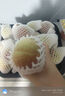 京鮮生山東青州蜜桃凈重4.5斤裝 單果50g+ 生鮮水果 源頭直發(fā)包郵 曬單實(shí)拍圖