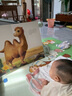 寶寶的第一本觸摸書0-1-2-3歲幼兒繪本 那么大地板書 觸覺感知視覺早教啟蒙認(rèn)知益智書籍 0到3歲繪本撕不爛兒童讀物立體書嬰兒玩具 【更多小動物】推薦買兩本觸摸書 曬單實拍圖
