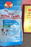 皇家狗糧 幼犬狗糧 寵物 小型犬 MIJ31 全價(jià)犬糧 2-10月 2KG 曬單實(shí)拍圖