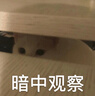 貝肽斯胎脂皮兒童秋衣套裝寶寶秋衣秋褲男童女童內(nèi)衣套裝秋冬新款 曬單實(shí)拍圖