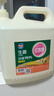 紅玫瑰（Hongmeigui） 生姜餐具洗潔精5kg大桶快速去油去腥潔凈清新 生姜5kg 曬單實(shí)拍圖