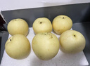 京鮮生 河北雪花梨 凈重5斤 單果300g+ 新鮮當季 生鮮水果 中秋禮盒 曬單實(shí)拍圖