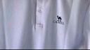 駱駝（CAMEL）速干透氣POLO衫男士寬松運(yùn)動(dòng)通勤商務(wù)休閑翻領(lǐng)短袖夏季M34BD03603 曬單實(shí)拍圖