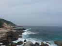 浪莎（LangSha）泳衣女連體裙式保守游泳衣速干遮肉顯瘦運(yùn)動(dòng)泡溫泉大碼泳裝 曬單實(shí)拍圖