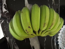 正宗廣西蘋(píng)果蕉大果香蕉5斤當(dāng)季新鮮米蕉蘋(píng)果粉蕉自然熟大芭蕉 5斤 曬單實(shí)拍圖