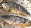 森農樂(lè )小黃魚(yú)生鮮黃花魚(yú)舟山野生鮮活冷凍海魚(yú)正宗深海冰鮮燒烤商用新鮮 7-8條/斤【凈重3斤 味美鮮嫩】 曬單實(shí)拍圖