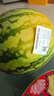 【產(chǎn)地直采】麒麟奶油西瓜 約4.5kg 曬單實拍圖