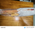 喜潤家木質(zhì)拖把棉線(xiàn)膠棉拖布海綿洗車(chē)拖把酒店物業(yè)學(xué)校老式排拖塵推  曬單實(shí)拍圖