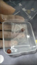 胖東來品質(zhì)天然寶山南紅瑪瑙耳釘新款滿肉櫻桃紅耳飾耳環(huán)生日禮物 天然南紅耳釘【9-10mm】 曬單實拍圖