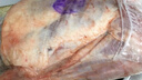 仲亨記寧夏灘羊肉 去骨純羊肉 羊腿肉 生鮮中秋禮盒5斤 清真 源頭直發(fā)  曬單實(shí)拍圖