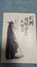正版舊書 劍橋簡(jiǎn)明金庸武俠史新垣平長(zhǎng)江文藝出版社 曬單實(shí)拍圖