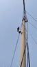 奧克斯4g太陽(yáng)能攝像頭室外無(wú)電無(wú)網(wǎng)終身免費流量免插電手機遠程高清監控器家用戶(hù)外360度無(wú)死角全景夜視 曬單實(shí)拍圖