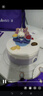 元祖（GANSO）6號天秤座蛋糕500g 動(dòng)物奶油星座蛋糕 生日蛋糕同城配送當天送達 曬單實(shí)拍圖