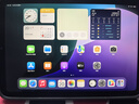 Apple/蘋果 iPad mini (A17 Pro) 8.3英寸 平板電腦(128G eSIM版/mini7/MXQ03CH/A)深空灰色 曬單實(shí)拍圖