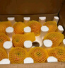 京鮮生 四川紅心獼猴桃24粒單果70-90g 生鮮水果 源頭直發(fā)  曬單實(shí)拍圖