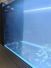 馬印天王馬印天王電解生物酶水養魚(yú)用品魚(yú)缸除氯氣凈水劑活菌水質(zhì)穩定劑 電解生物酶水500ml【快速凈水】 曬單實(shí)拍圖