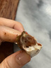 梭子蟹鮮活冷凍特大野生舟山大螃蟹海鮮新鮮冷凍海蟹水產(chǎn)飛蟹白蟹 特大號梭子蟹【約7-9兩】?jì)糁?斤 曬單實(shí)拍圖