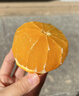 四大名柚正宗福建平和管溪紅心蜜柚紅肉新鮮現摘三紅柚中秋禮盒裝 紅柚（5-5.5斤）  2個(gè)  禮品盒裝 曬單實(shí)拍圖