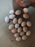 新鮮土雞蛋農家散養正宗草雞蛋笨柴雞蛋 20枚800g 曬單實(shí)拍圖