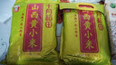 十月稻田 24年新米 山西黃小米 5斤 五谷雜糧 粗糧 早餐小米粥 真空 2.5kg 曬單實(shí)拍圖