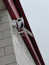HIKVISION?？低曁?yáng)能攝像頭免插電800萬(wàn)雙攝家用室外4G終身免流量360度無(wú)死角AOV戶(hù)外監控器手機遠程T4 曬單實(shí)拍圖