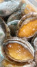 江船長 冷凍鮑魚 凈重160g(18-22粒)袋裝 火鍋燒烤食材 海鮮生鮮 曬單實拍圖