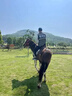月洛嬋反光馬甲定制工作服印logo順豐同城快遞配送坎肩代駕網(wǎng)眼背心 A款【反光漁網(wǎng)口袋馬甲】黑色 2XL 曬單實拍圖