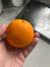 新奇士（Sunkist）澳大利亞進(jìn)口藍(lán)標(biāo)早臍橙4斤禮盒 單果180g起 新鮮水果 曬單實(shí)拍圖