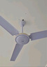 鉆石牌吊扇電風(fēng)扇家用客廳1.4米56吋樓頂扇工業(yè)大風(fēng)力吸頂電風(fēng)扇DS56-11I 曬單實(shí)拍圖