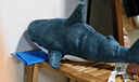 宜家（IKEA）BLAHAJ布羅艾鯊魚抱枕公仔玩偶生日毛絨玩具網(wǎng)紅睡覺可愛 幼鯊55 cm 曬單實(shí)拍圖