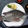 翔泰海南三去羅非魚/海南鯛1400g/共4條免處理 生鮮魚類 海鮮水產(chǎn)  曬單實拍圖