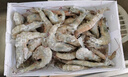 鮮享純【青島蝦】超大蝦新鮮大蝦冷凍鮮活青島大蝦批發(fā)整箱基圍蝦青蝦 15-17厘米鮮蝦速凍 3斤(凈重) 曬單實(shí)拍圖