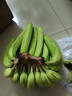 精品云南香蕉高山香蕉現(xiàn)摘新鮮水果甜生青香蕉banana自然熟綠皮 精品高山蕉 9斤 曬單實(shí)拍圖