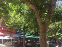 回力正肩短袖女2025新款夏季時(shí)尚高級感上衣大碼寬松隨性純棉長(cháng)袖t恤 曬單實(shí)拍圖