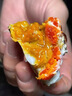 【活蟹】陽(yáng)澄森鮮大閘蟹 鮮活特大螃蟹 公蟹母蟹水產(chǎn)生鮮禮盒 公4.0-4.3兩，母3.0-3.3兩  公4只，母4只/4對(duì)8只 曬單實(shí)拍圖