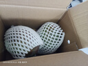 【新鮮上市】正宗攀枝花凱特芒果新鮮水果 帶箱2斤200g+ 曬單實拍圖
