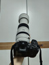佳能（Canon）RF100-500mm F4.5-7.1 L IS USM 超遠攝變焦鏡頭【濾鏡防護套裝】 曬單實(shí)拍圖