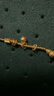 喜上眉梢足金999轉(zhuǎn)運(yùn)珠古法傳承麻花跑環(huán)隔片創(chuàng)意路路通DIY文玩配飾送禮女 0.14g 卡5古法麻花跑環(huán)隔片單個(gè) 曬單實(shí)拍圖