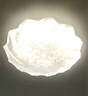 雷士（NVC）LED燈盤吸頂燈替換燈芯燈板磁吸光源模組環(huán)形燈管62瓦正白光 曬單實(shí)拍圖