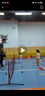 kids.ing可迪星幼兒園室內鞋運動(dòng)鞋春秋小白鞋男女童小童軟底寶寶帆布鞋 白色（網(wǎng)面款） 舒適透氣 27 適合腳長(cháng)16.3-16.8cm 曬單實(shí)拍圖