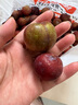 庾豐當季新鮮現摘脆紅李 新鮮水果整箱 孕婦脫骨青紅李子 團購送禮 5斤裝（凈果4.5斤）甄選果 顆顆甄選 產(chǎn)地直發(fā) 曬單實(shí)拍圖