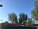 C-LEEN曬背燈uvb補鈣爬寵烏龜爬蟲(chóng)節能太陽(yáng)燈管陸龜 【10.0 UVB節能燈】19W 曬單實(shí)拍圖